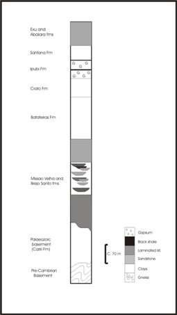 Geological Section